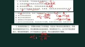 三肖必出三肖一特,绝对经典解释落实_Lite49.186