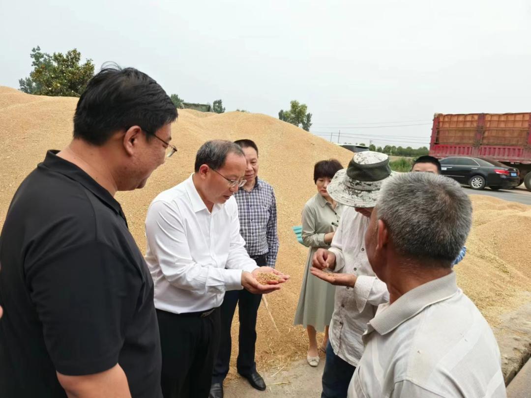 新城鸿盛高科技园区天气预报更新通知