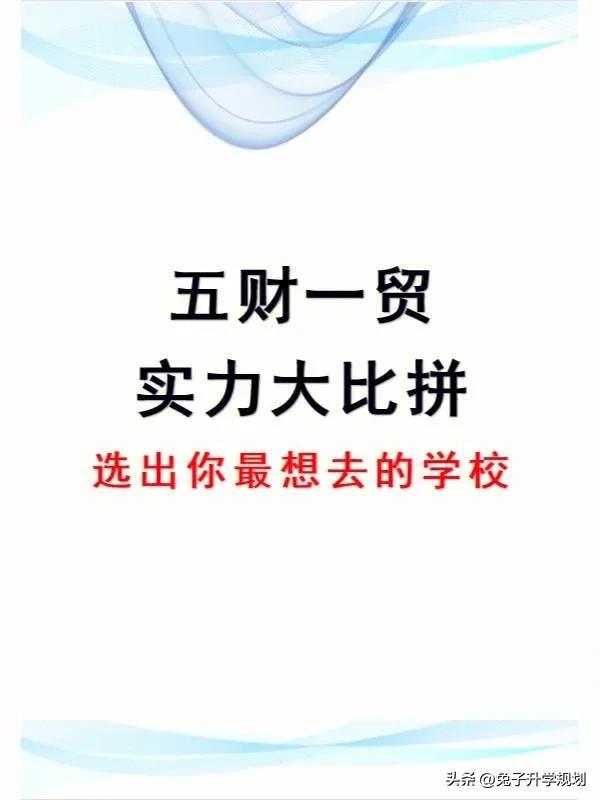 黄浦审计局未来发展规划展望