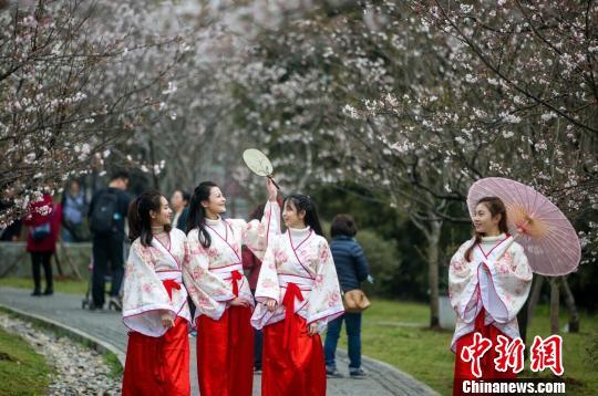 陵园街道办事处天气预报更新通知