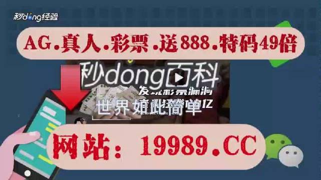 2024澳门天天开彩正版免费资料,定性分析解释定义_进阶版20.654