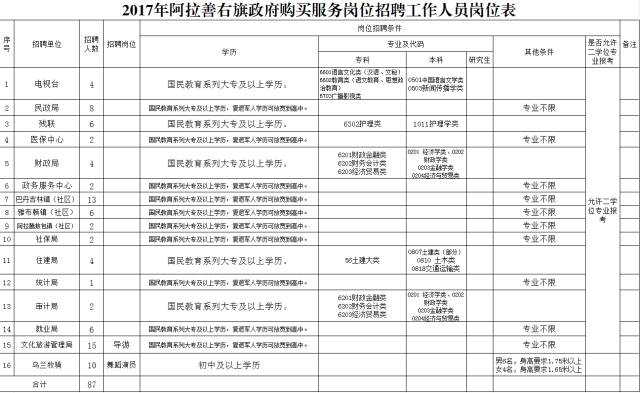 阿拉善右旗数据和政务服务局招聘公告详解