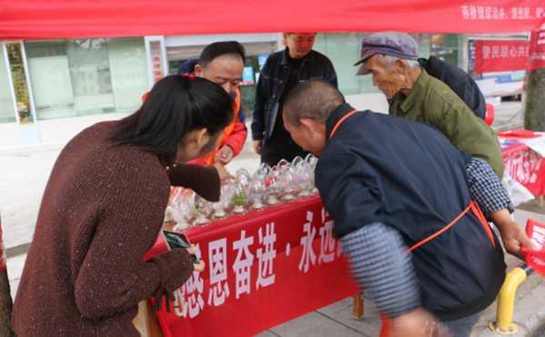 花溪街道最新资讯速递