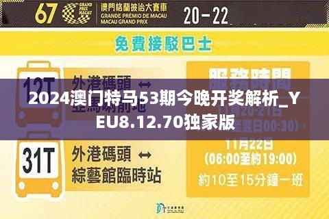 2024年今晚澳门开特马,实地分析解释定义_挑战版94.503