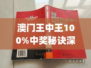 澳门王中王100期期中一期林,实地解析数据考察_iShop65.568