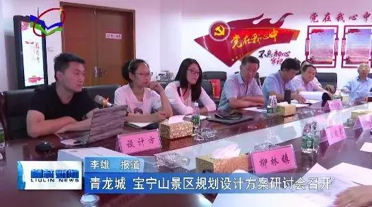 柳林镇未来繁荣蓝图，最新发展规划揭秘