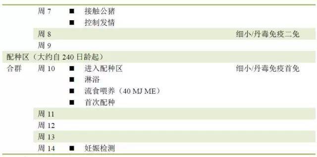 雪域苍狼 第2页