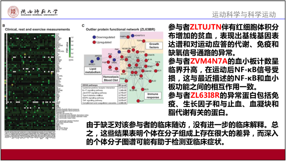 香港正版资料全图,准确资料解释落实_游戏版256.183