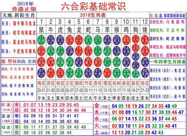 澳门正版资料大全资料生肖卡,项目管理推进方案_3K64.750