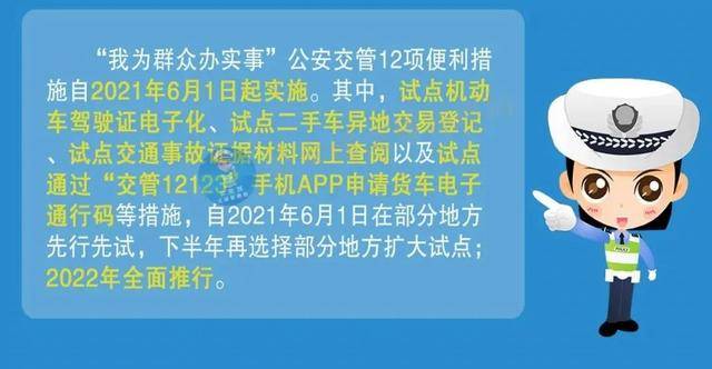 管家婆一码一肖资料大全,全局性策略实施协调_钱包版82.243