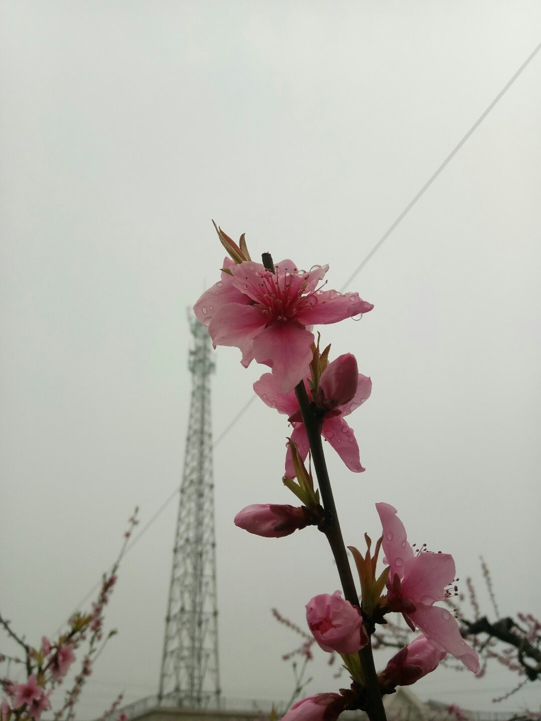 圣泉乡天气预报更新通知