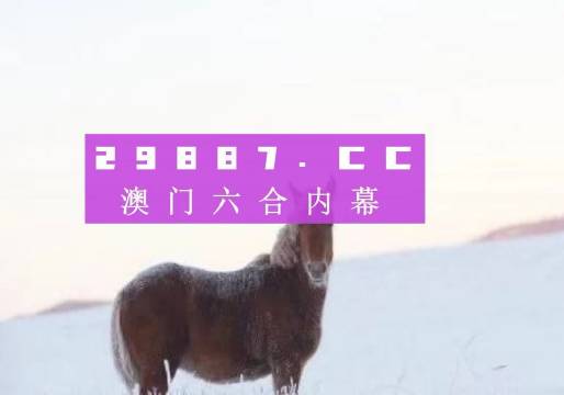 澳门一肖一码一特一中云骑士,快速方案执行_创意版58.111