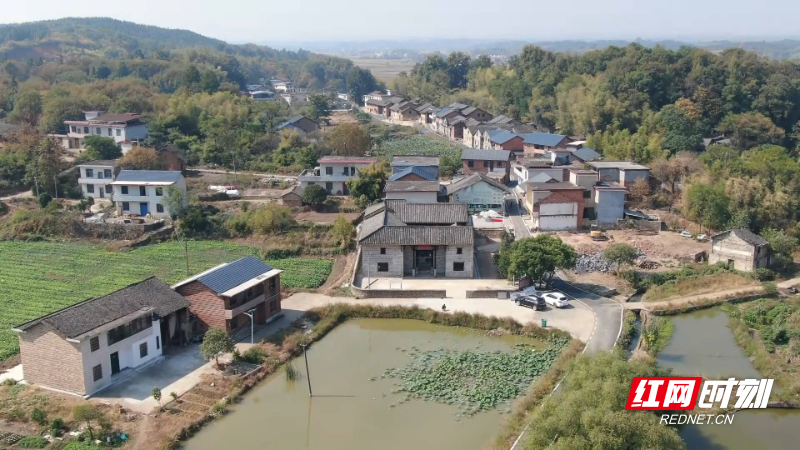 柏树坝村委会最新动态报道