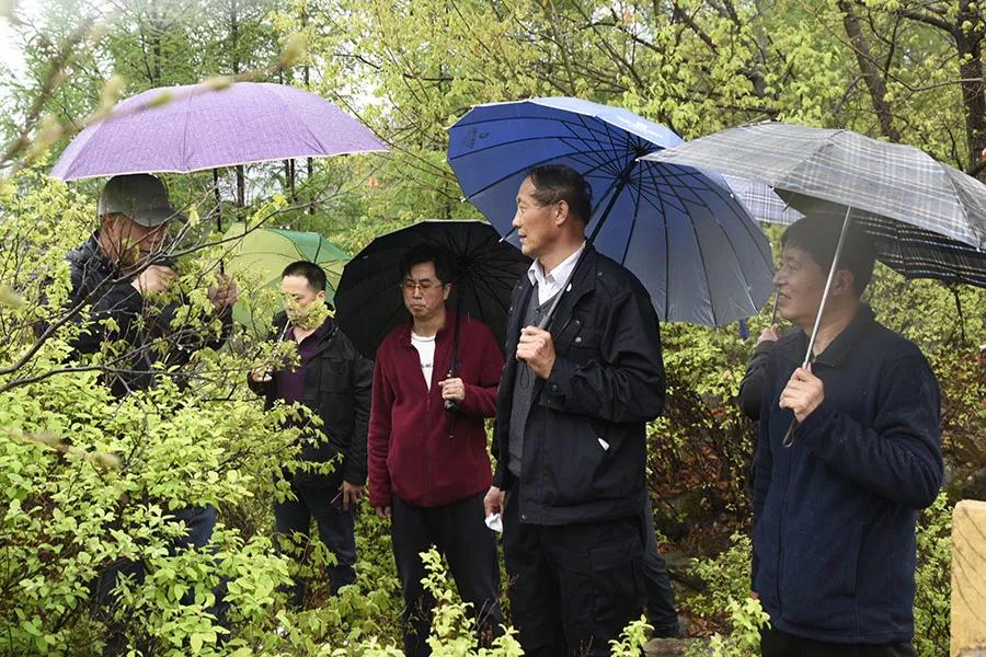 碱厂满族乡天气预报与生活指南