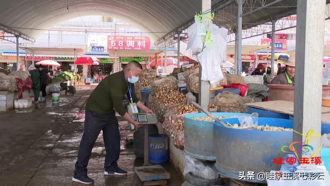 通海县卫生健康局发展规划揭秘，构建健康通海新篇章