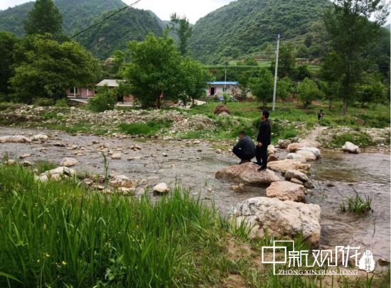 马坝村委会最新动态报道