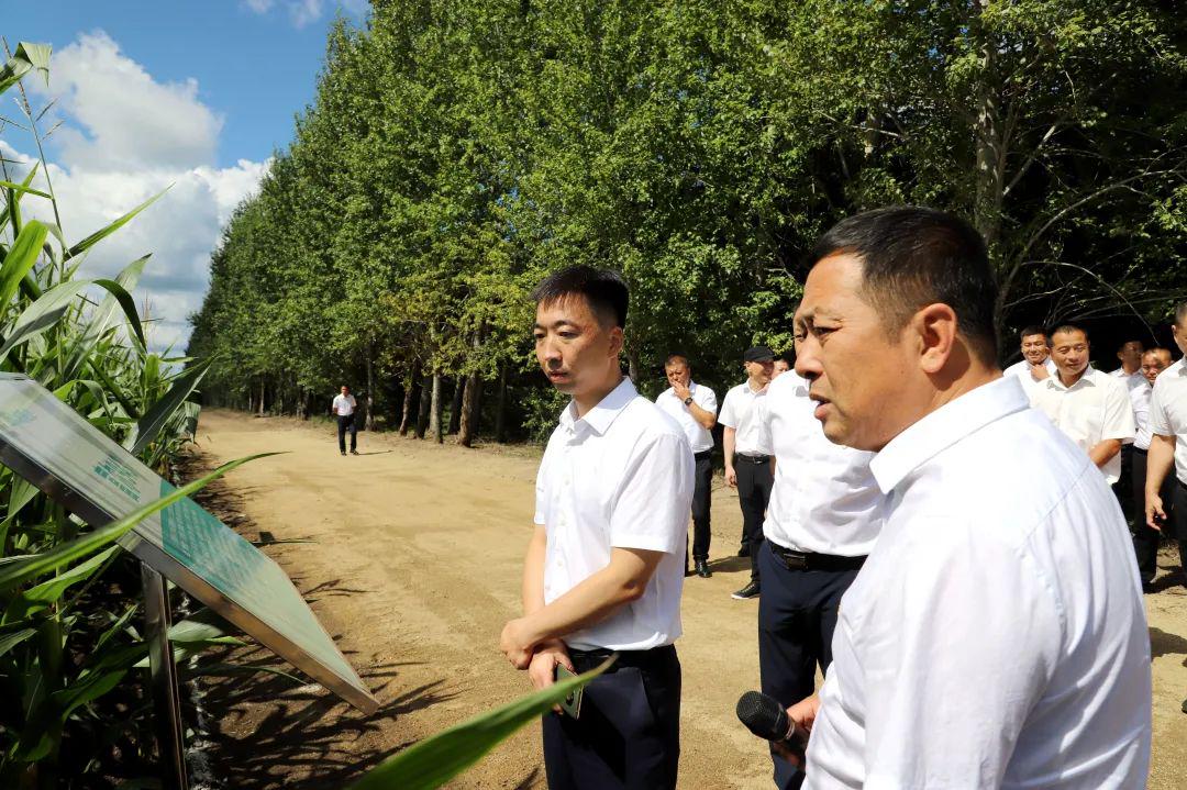 国营甘河农场领导团队最新发展策略概览