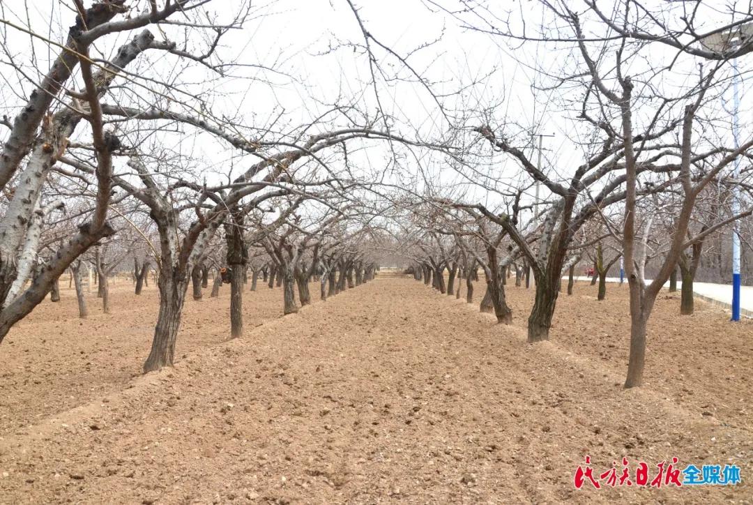 夏河县特殊教育事业单位最新深度报道，关注特殊教育的崭新篇章