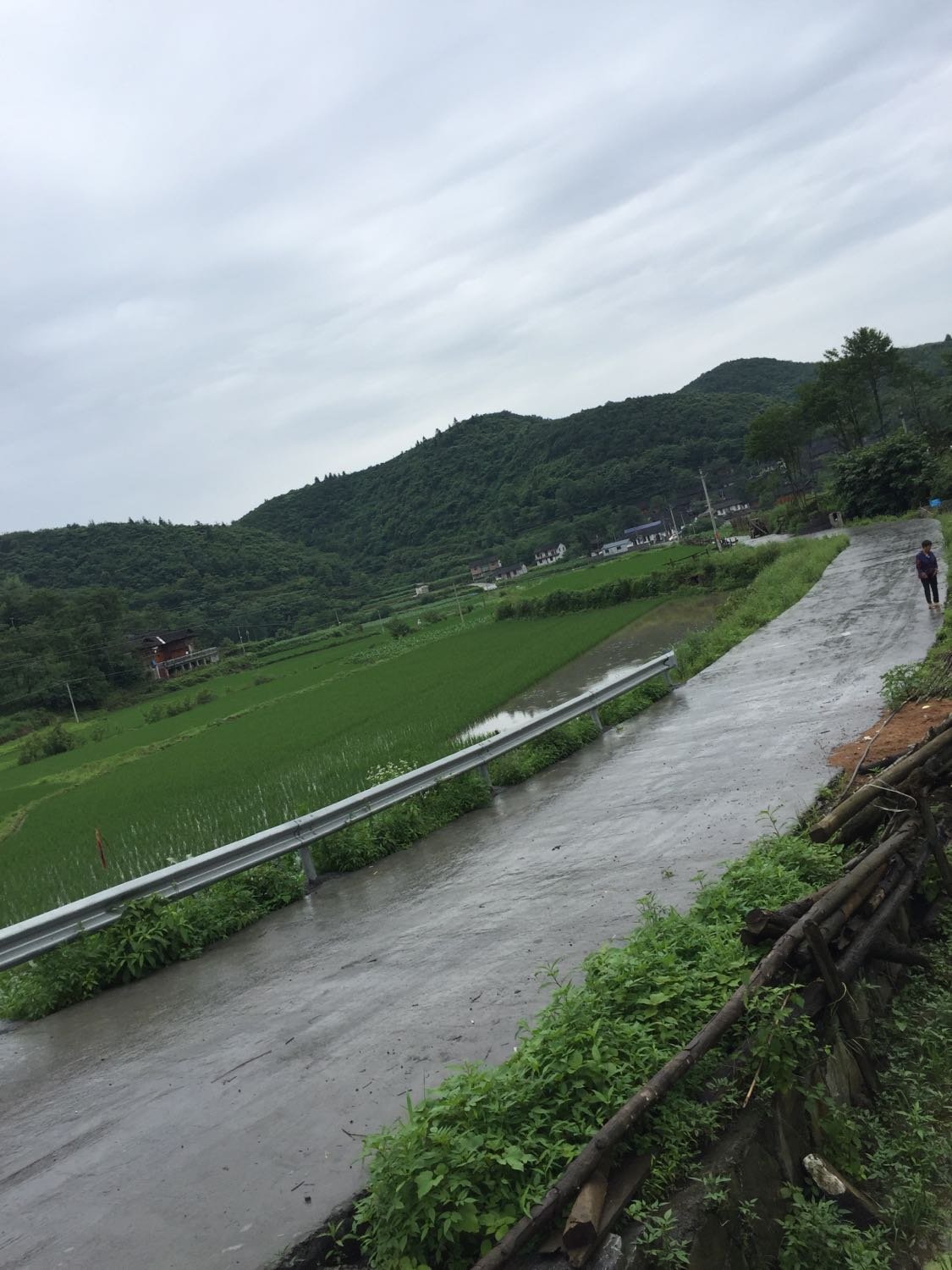 样田乡天气预报更新通知