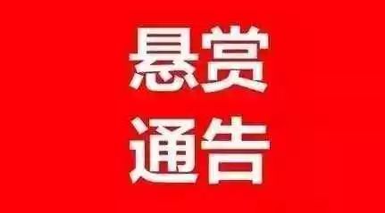 桐棉乡最新招聘信息汇总