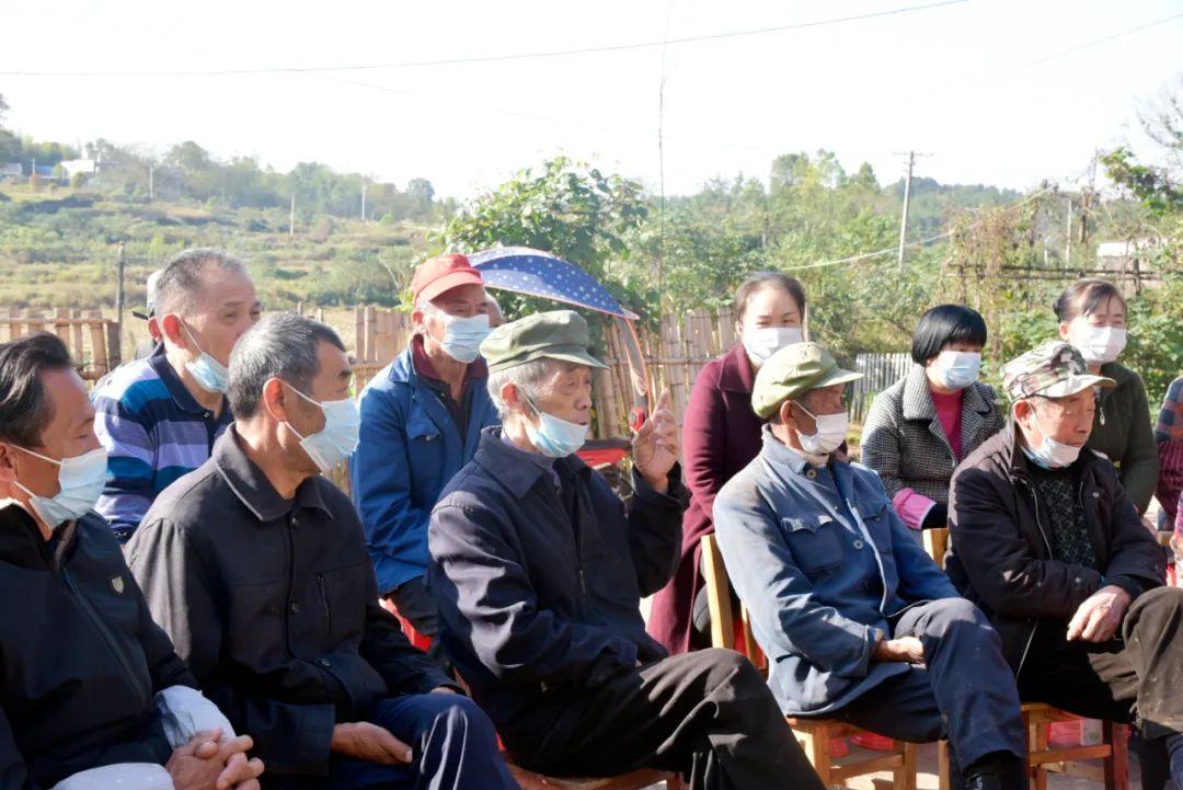 白果村全新发展规划揭秘，打造未来繁荣新农村