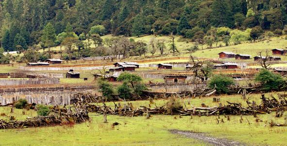 列瓦村天气预报更新通知