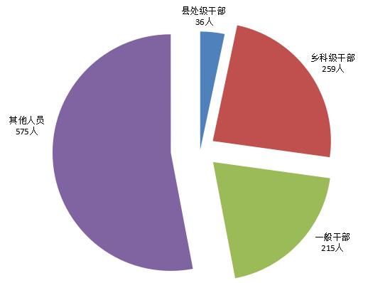 甘孜县数据和政务服务局招聘启事概览