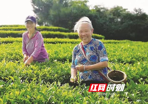 宝田侗族苗族乡新项目，地方繁荣与民族共荣的新引擎